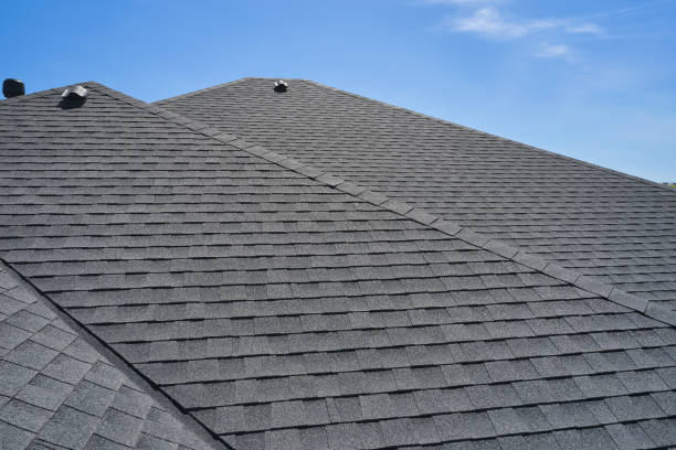 Skylights in Oronoco, MN