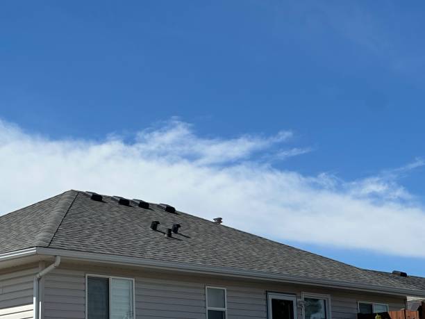 Fast & Reliable Emergency Roof Repairs in Oronoco, MN